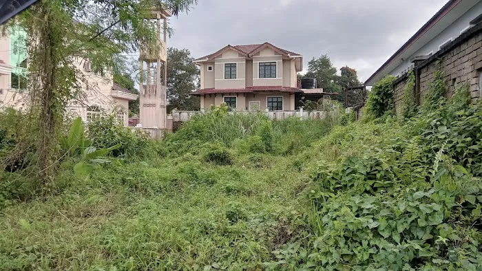 Land For Rent Picture 3
