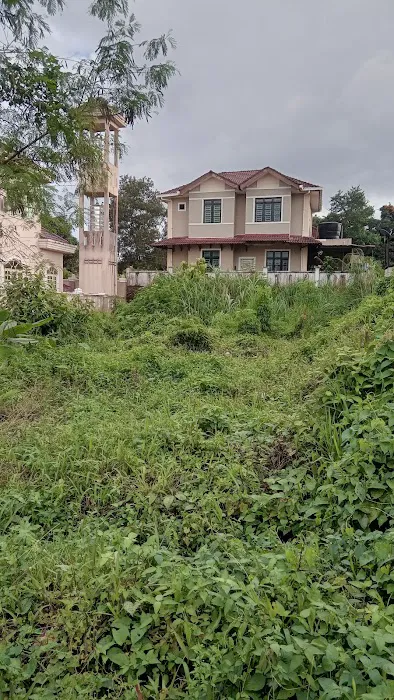 Land For Rent Picture 4