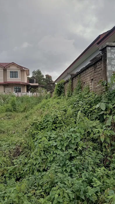 Land For Rent Picture 5