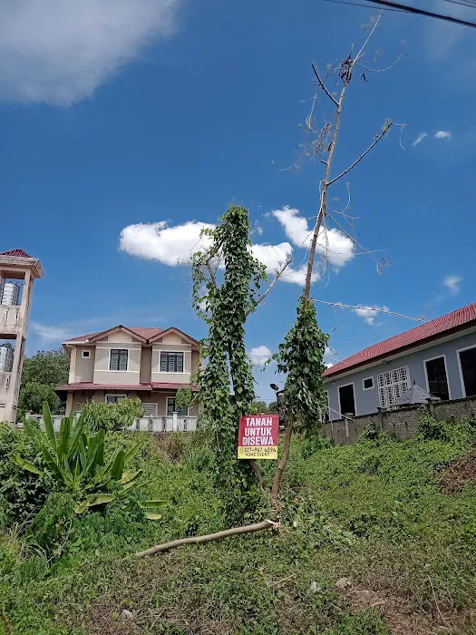 Land For Rent Picture 9