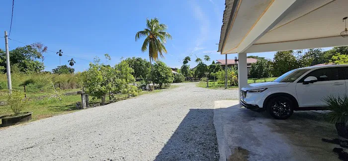 Rumah Rimbun Picture 5