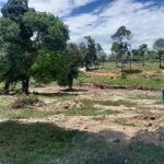 Kebun Iffah & Camping