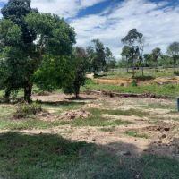 Kebun Iffah & Camping ico