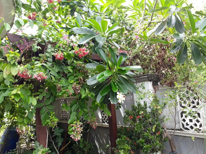 Homestay Cabin Waheeda Picture 6