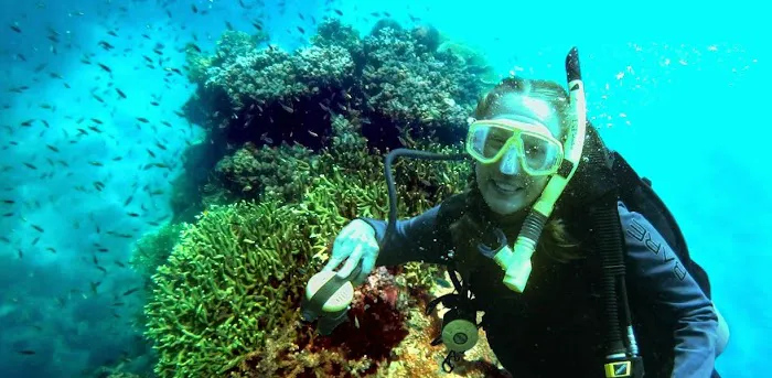 BuBu Long Beach Resort Picture 6