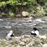 Tok Gindo Campsite