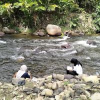 Tok Gindo Campsite ico