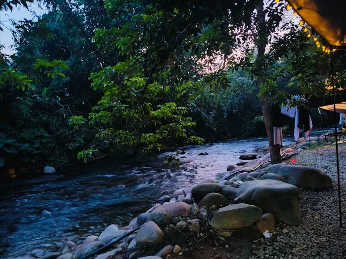 Tok Gindo Campsite Picture 8