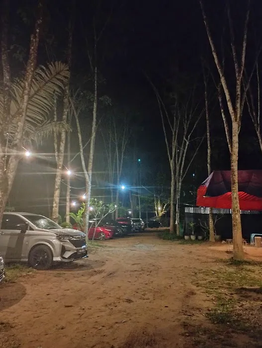Tok Gindo Campsite Picture 10