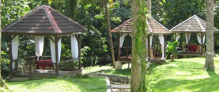 Impian Rimba Resort Enterprise Picture 5