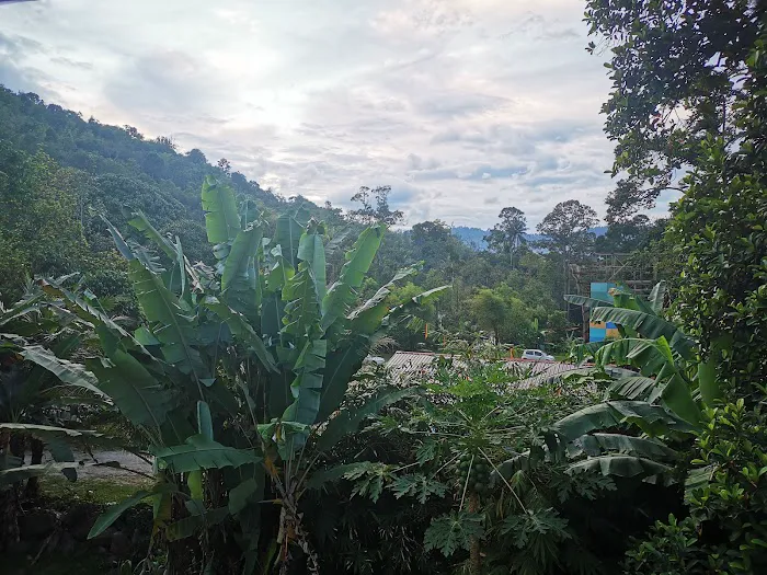 Homestay Cik Min Picture 5