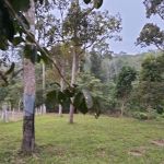 Dusun Durian