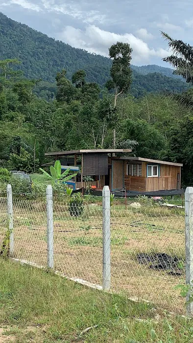 Dusun Durian Picture 3