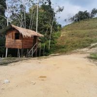 Bentong Lucky Farm ico