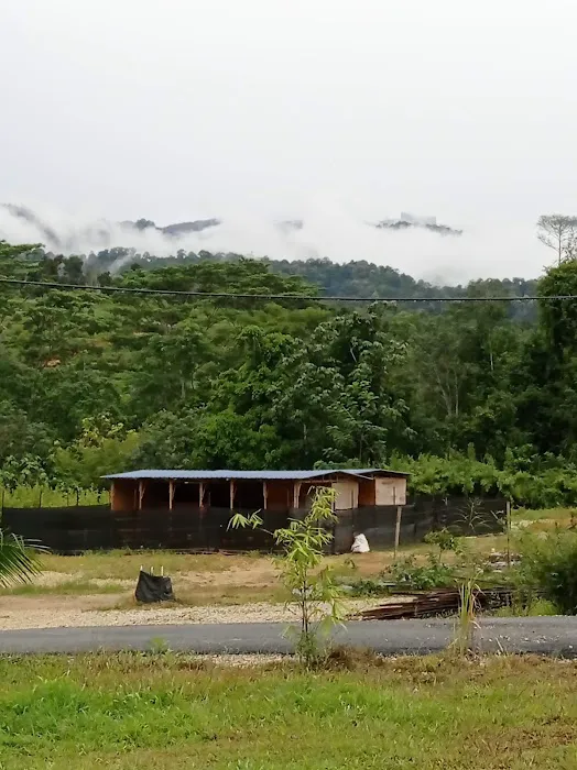 Bentong Lucky Farm Picture 10