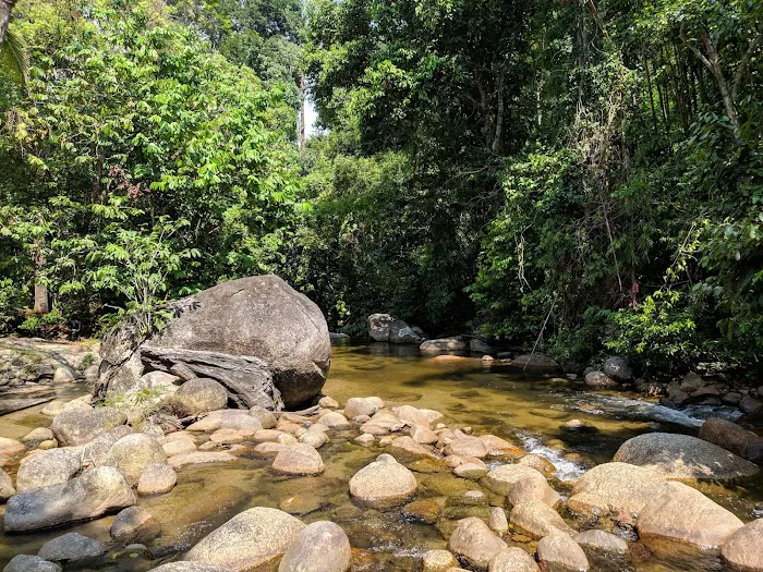 Kebun Ayah Picture 3