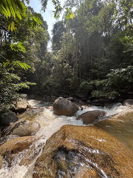 Kebun Ayah Picture 6