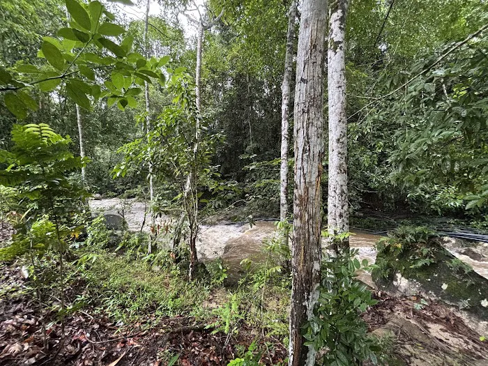 Kebun Ayah Picture 10