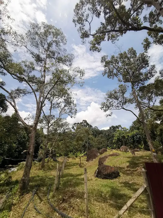 Kebun Ayah Picture 9