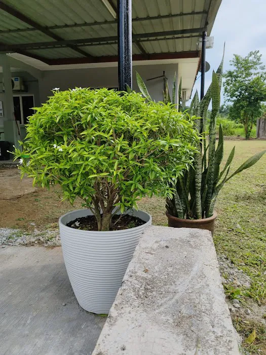Jadi Homestay Picture 4