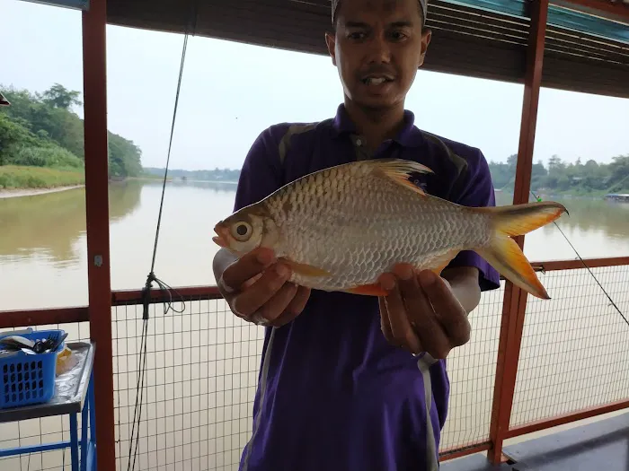 Rumah Rakit Kiswah Temerloh Picture 5