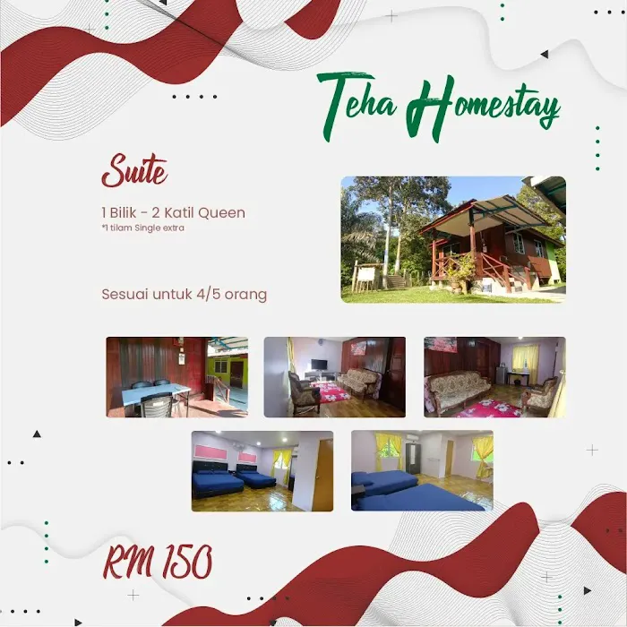Teha Homestay Picture 2