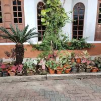 Jalan Masjid Lama ico