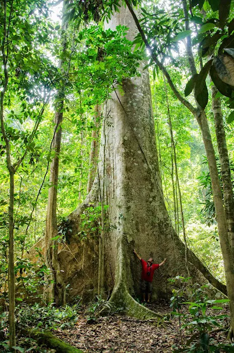 Mutiara Taman Negara Picture 7