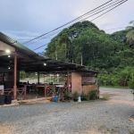 OYO 90618 D'tahan Motel Taman Negara