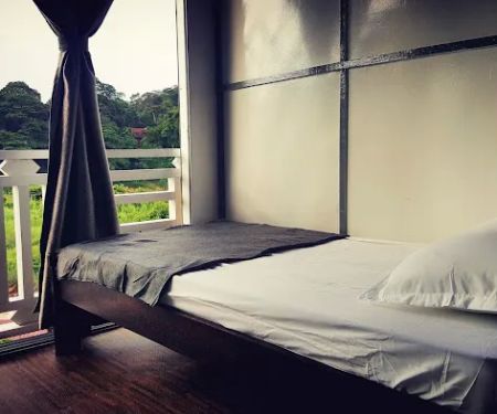 Wild Lodge Taman Negara