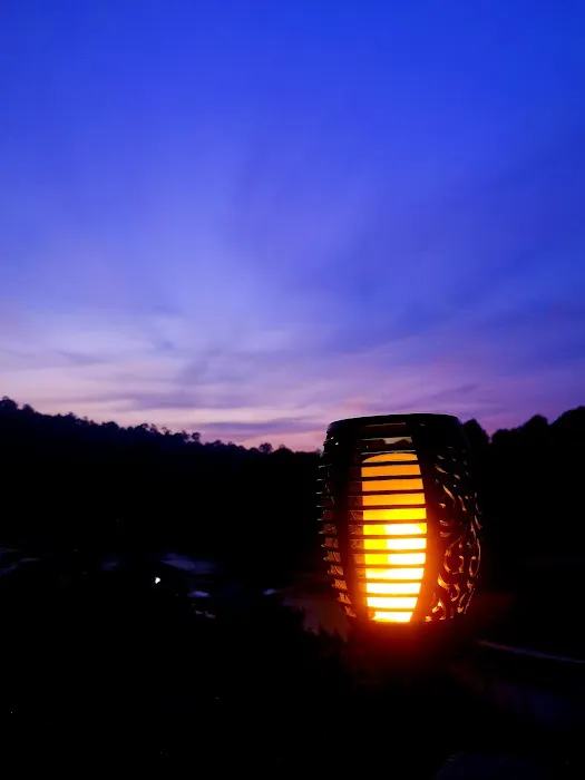 Wild Lodge Taman Negara Picture 8