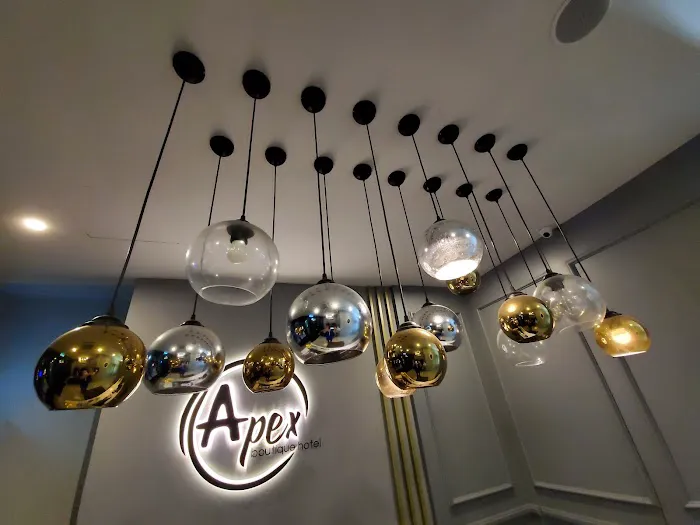 Apex Boutique Hotel Picture 10