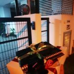 Belian Cengal Residensi
