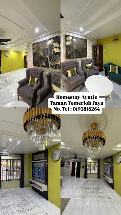 Homestay Ayutie TJ Temerloh Picture 8