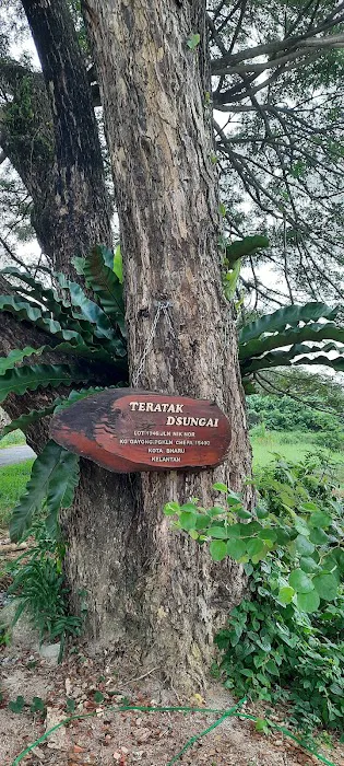 Teratak d'sungai Picture 7