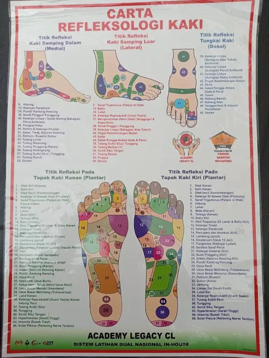 Pakar Urut Tradisional Dan Refleksologi Apit Juasseh,Negeri.Sembilan Picture 2