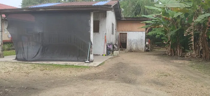 TUKANG URUT TRADISIONAL DI KELANTAN Picture 3