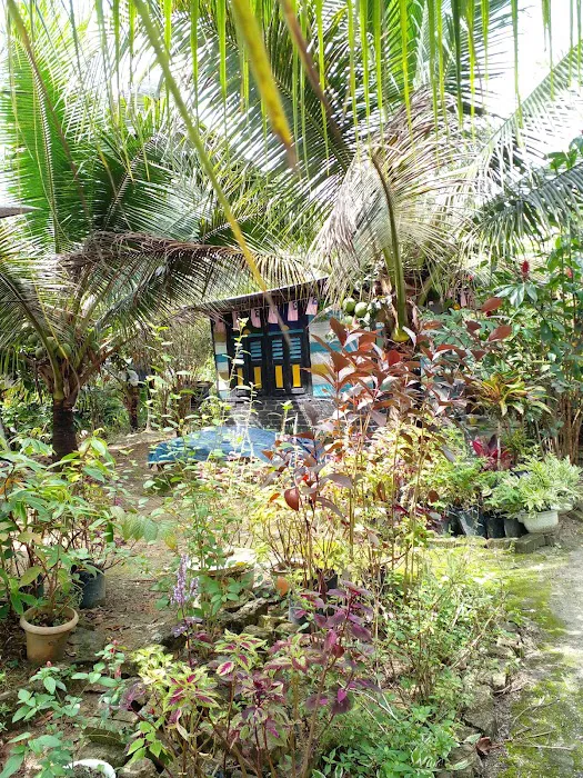 Urut Tradisional Lelaki, Urut tradisional Melayu Urut Saraf Rembau Kuala Pilah Negeri Sembilan Picture 1
