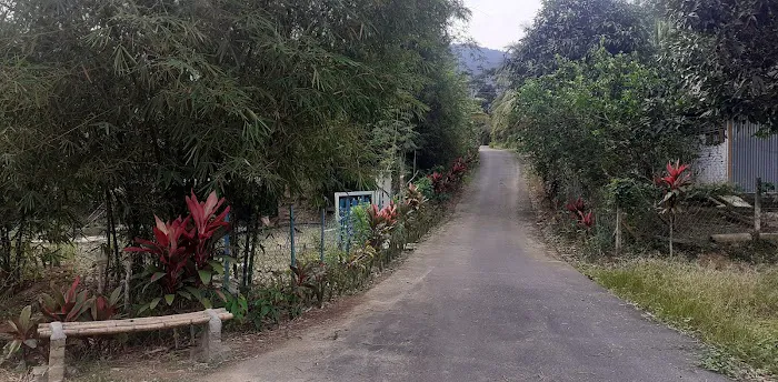 Urut Tradisional Lelaki, Urut tradisional Melayu Urut Saraf Rembau Kuala Pilah Negeri Sembilan Picture 7