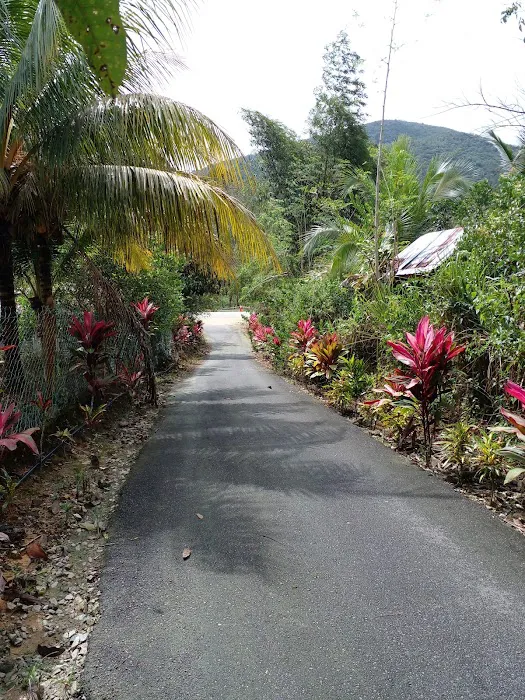 Urut Tradisional Lelaki, Urut tradisional Melayu Urut Saraf Rembau Kuala Pilah Negeri Sembilan Picture 9