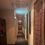 Zen Thai