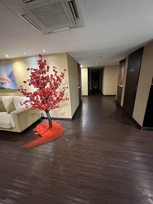 Oriental Signature HQ (Level 2M) Picture 2