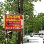 Urutan Tradisional & Rawatan Resdung