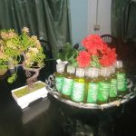 SaraH Mobile Home Spa