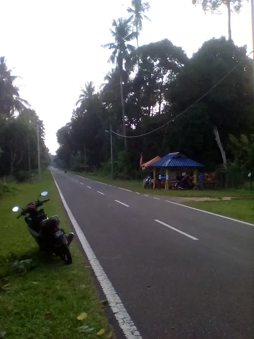 Pakreh Urut Tradisional Picture 2
