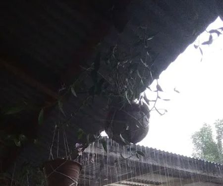 POK DIN TUKANG URUT