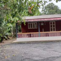 Pok Mat Urut Ganu ico