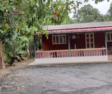 Pok Mat Urut Ganu