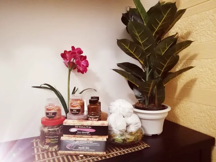 FaS wellness and Spa Picture 4
