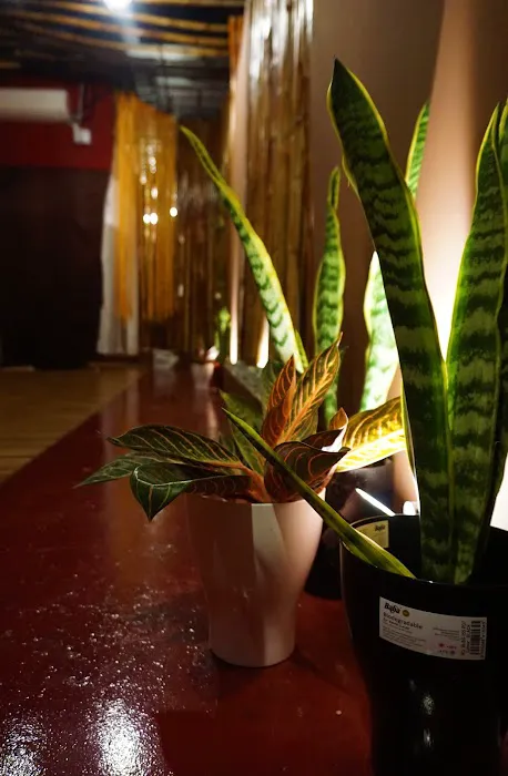 Bamboo Emira Reflexology Picture 7